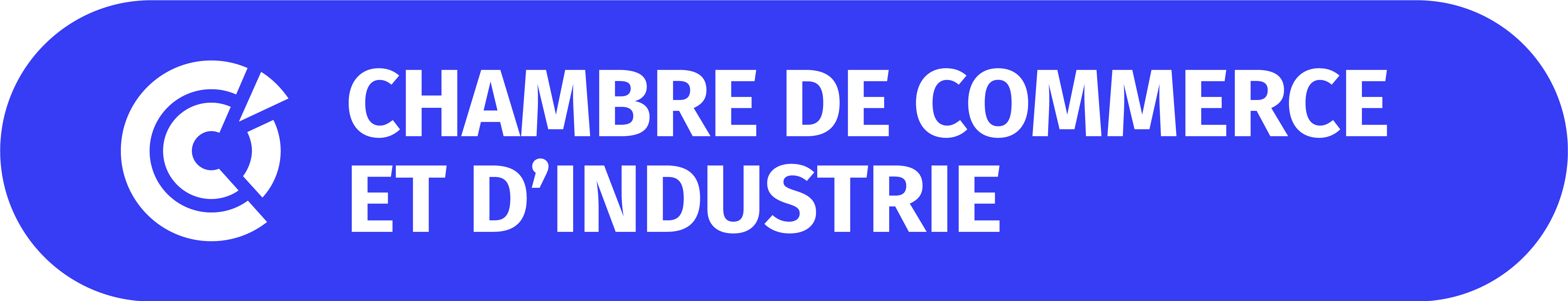 Logo CCI